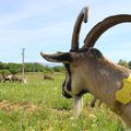 Venez à la ferme !