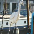 Ballade dans le Jordaan