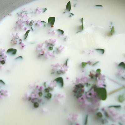 yaourt maison a la fleur de thym citron