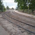 Pour le complexe réseau de tramways de Montpellier, un dangereux effet ciseaux entre coûts de maintenance et gratuité