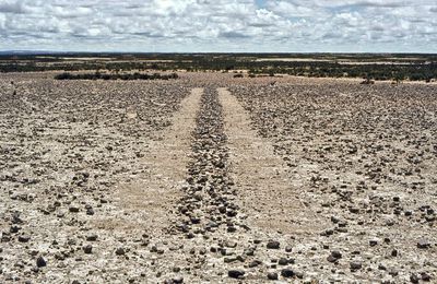 Oeuvres de Richard Long (1)