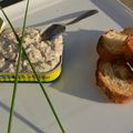 RILLETTES DE SARDINES accompagnées de sa salade printannière