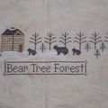 Bear Tree Forest