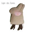 Lapin des dunes