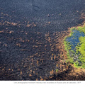 Incendies en Russie