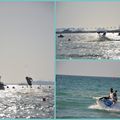 COMPET DE JET SKI