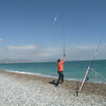 La crevette en surfcasting. ©1max2