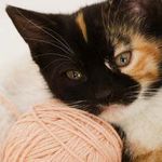 A Knitting Girl
