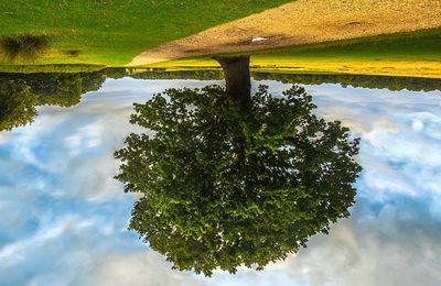 Faire les pieds au mur : l'homme habite dans la parole