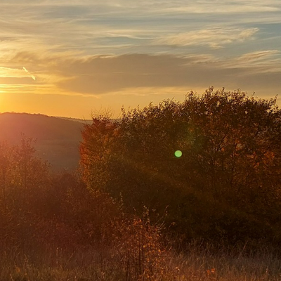Je me souviens des automnes de mon enfance