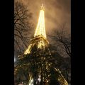 LA DAME DE PARIS