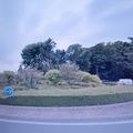 Rond-point à Saint-Arnoult