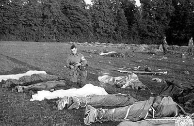 Carentan. Les Aigles hurlants face aux Lions de Carentan