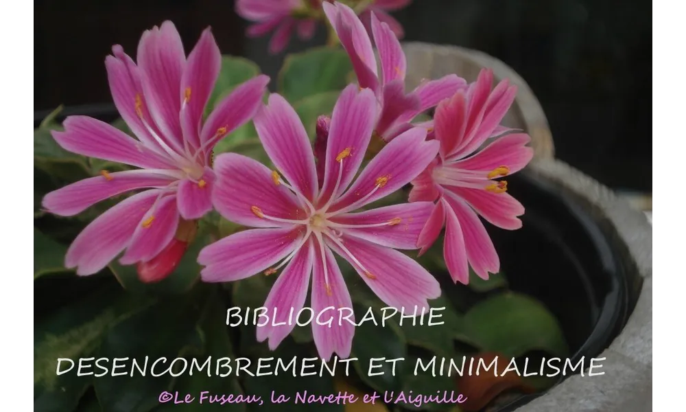 Bibliographie DESENCOMBREMENT et MINIMALISME