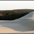 dune du pyla coté pile et coté face