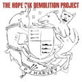 PJ HARVEY – The Hope Six Demolition Project (2016)