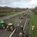 L'aéroport de Notre Dames des Landes !