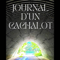 Gauthier Hiernaux nous présente son nouveau roman "Journal d'un cachalot"