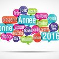 Bonne année 2016 et bilan du 6 janvier 2016