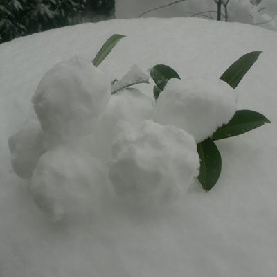 Tombe...tombe...la neige !