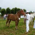 Concours Spécial 2012 - Samer