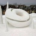 sculpture sur neige - fossile