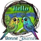 Mon occupation du moment !!!!!!