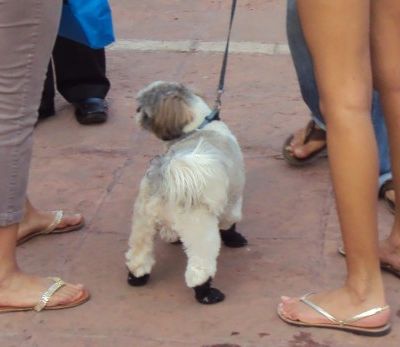 L'élégance mumbaïte