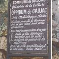 Visite de l' oppidum de Gaujac