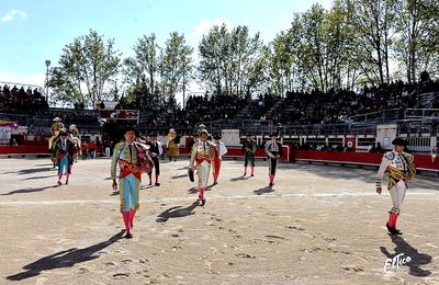 Féria de Saint Martin de Crau en octobre 2021