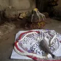 VOYANT MARABOUT COMPETENT SIKILI DE Pointe à pitre