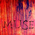 MUSE sur bois customisé