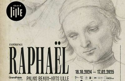 Expérience Raphaël au PBA Lille
