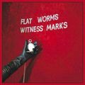 "Witness Marks" de Flat Worms : déclinaison des formes punk / post-punk