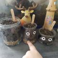 Diy de survie parentale : Plantation de printemps
