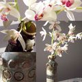 Orchidées