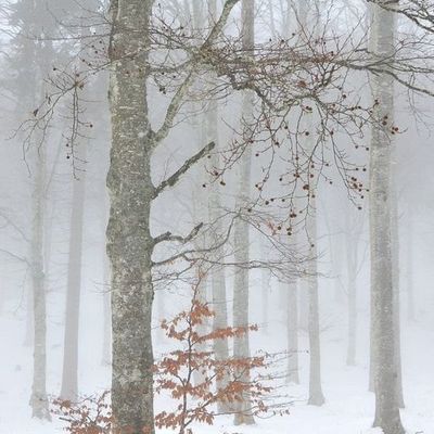 Mon Journal du lundi ....