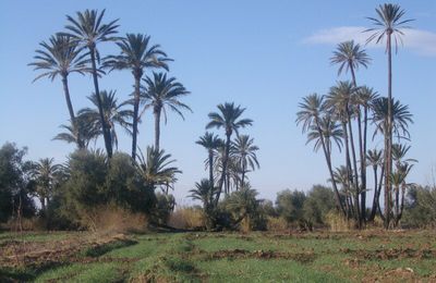 Région Marrakech 