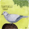 Gris tourterelle