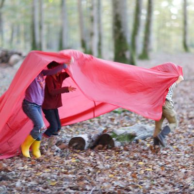 Les apprentissages Autonomes au CPN Salamandre et Serpolet Stage Nature #1 suite et fin