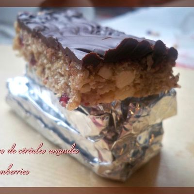 Barres de céréales aux cranberries et aux amandes