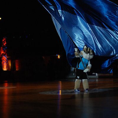 Handball Finale D1 : HAC - Toulon