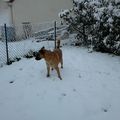 De la neige !!!