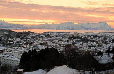 Bodø