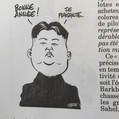 Dessins Canard Enchaîné