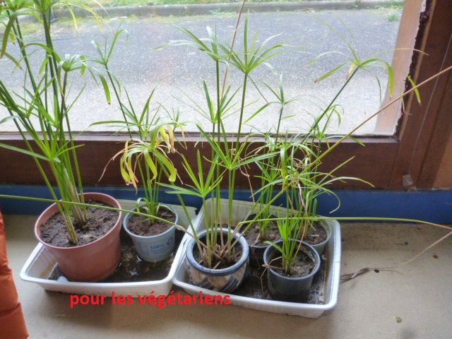 P1020750