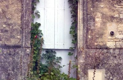 Au gré d'une balade en Charente ...