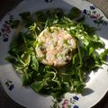 Tartare de queues de langoustines