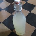 Limonade de kéfir au zeste de citron