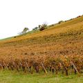 le sentier des vignes a Pupillin,Jura